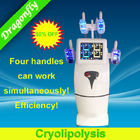 Brandnew машина уменьшения целлюлита Cryolipolysis для патентов всего тела