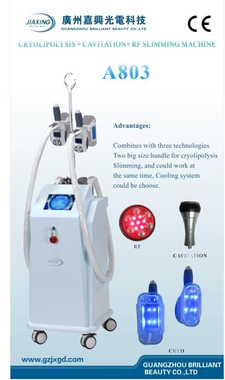 Non инвазионное Cryolipolysis уменьшая оборудование красотки с касанием Screen/A804 цвета 8 дюймов