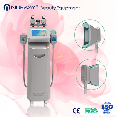 Тело машины 2014/Cryolipolysis Cryolipolysis уменьшая оборудование красотки
